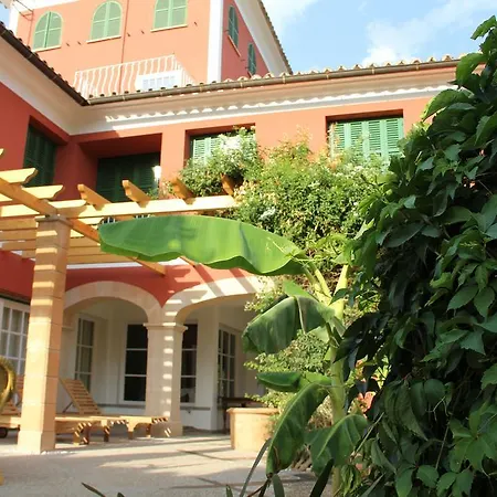 Naranjos 4*
